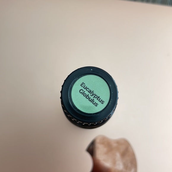 Eucalyptus globulus  essential oil - Picture 2 of 3